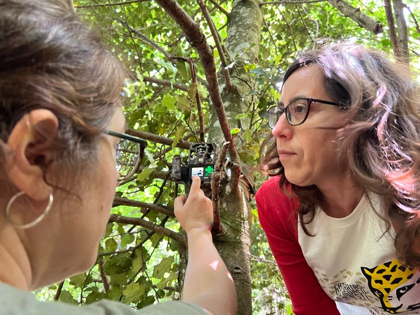 Camera trap hung in a tree and a finger pushes a button