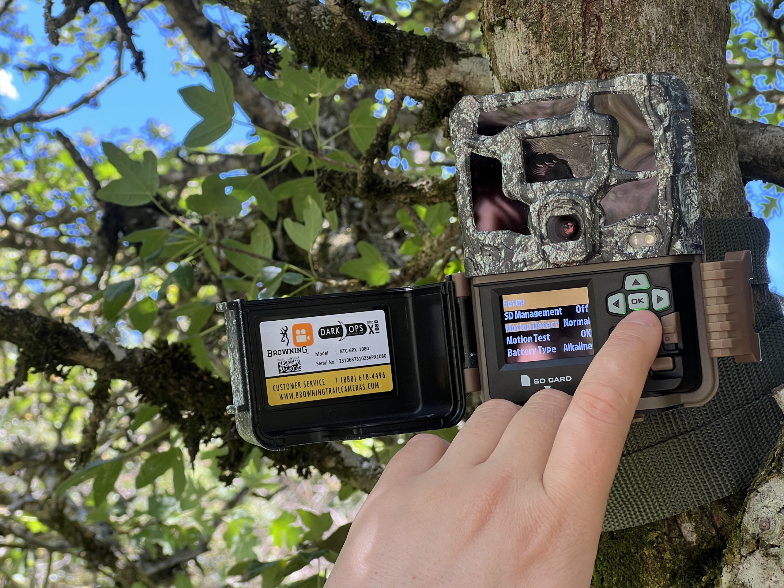 Camera trap hung in a tree and a finger pushes a button