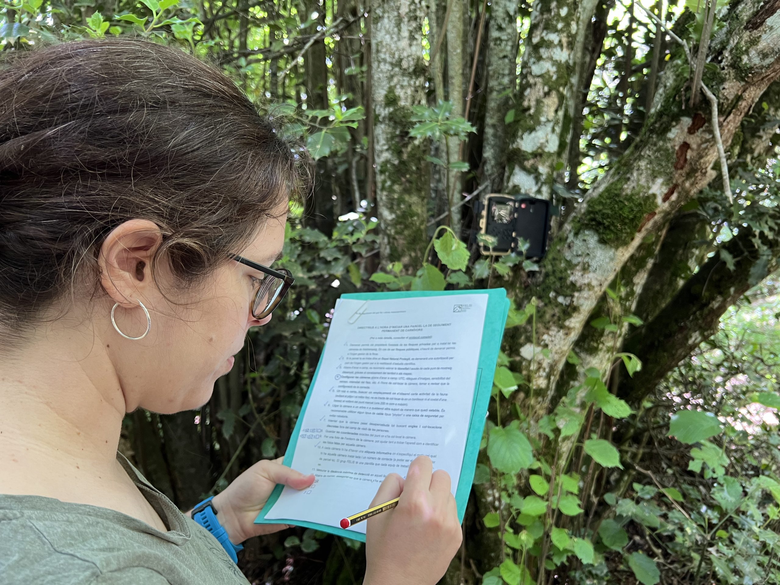 Woman in a forest installing a camera trap.