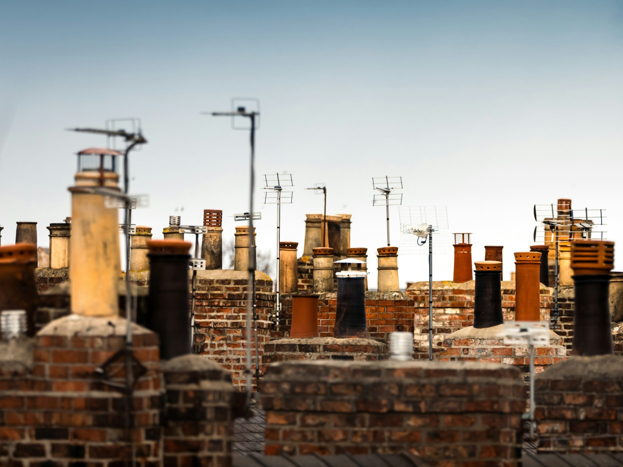 Rooftops in a city.