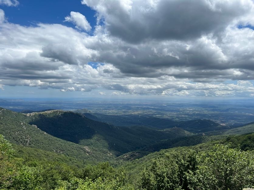 Forest landscape in Catalonia.