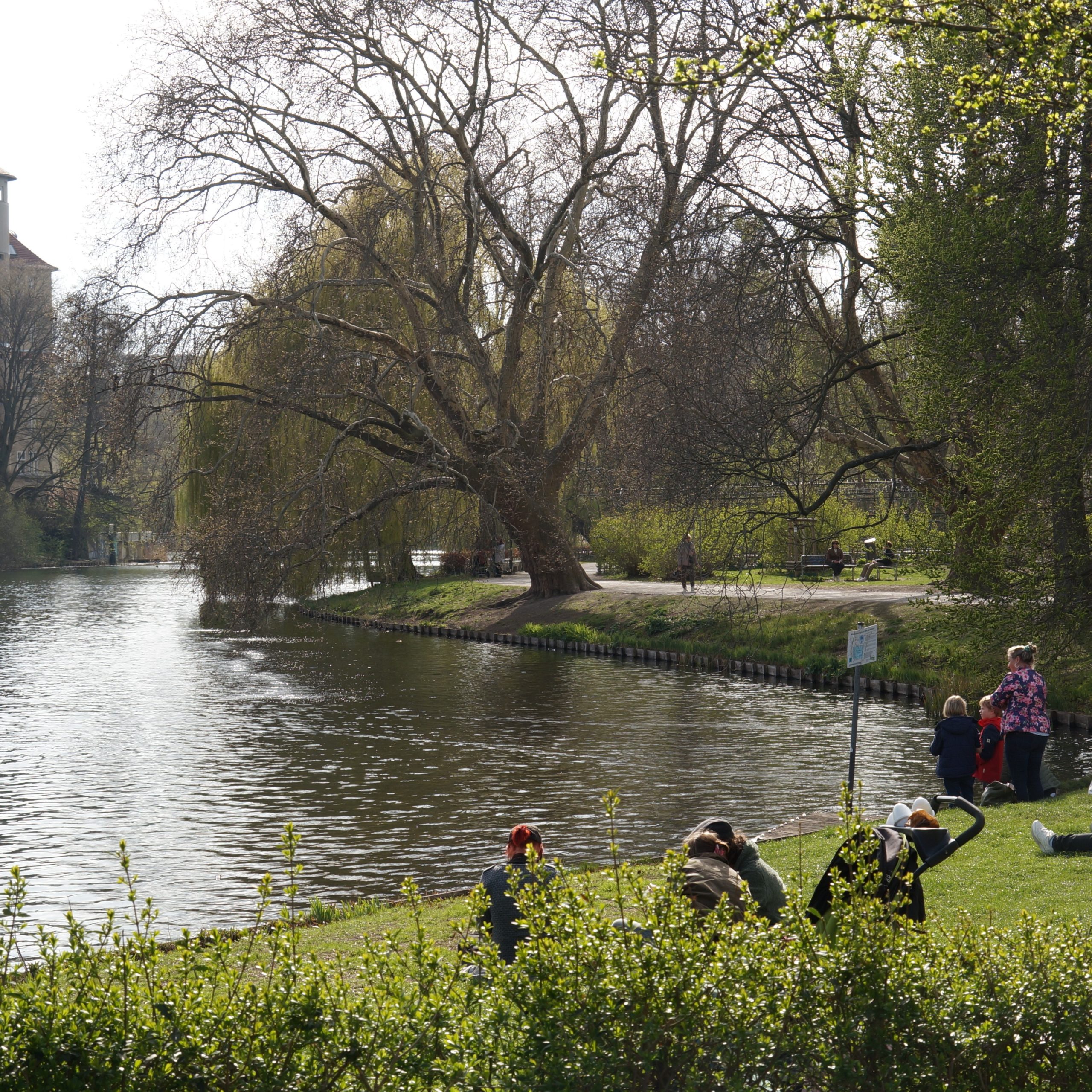 Lietzensee lake in Berlin. Image: Chris Danneffel (CC BY 3.0)